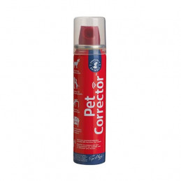 Pet Corrector Education chien