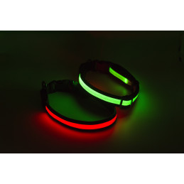 Collier chien lumineux...