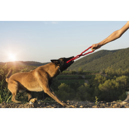 Tug Toy jouet KONG® Jouet chien