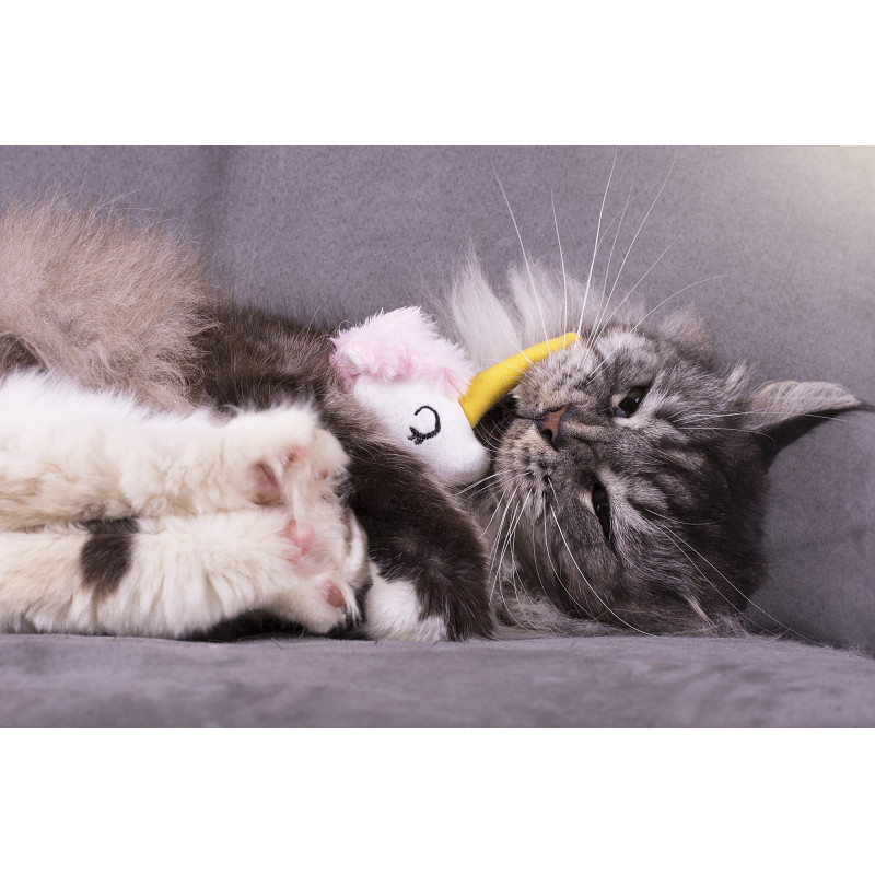 Peluche Licorne Avec Herbe A Chat Cataire Jouet Chat