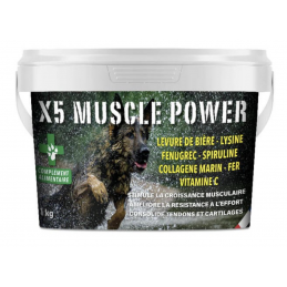 X5 Muscle Power -...