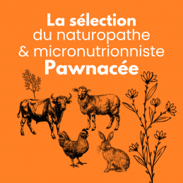 Assortiment Pawnacée - box friandise chien