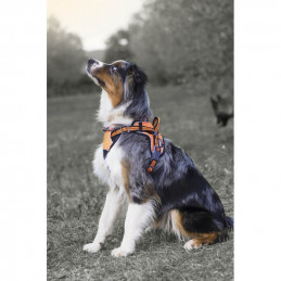 Harnais Arka Dog multisport Orange Martin Sellier pour chien