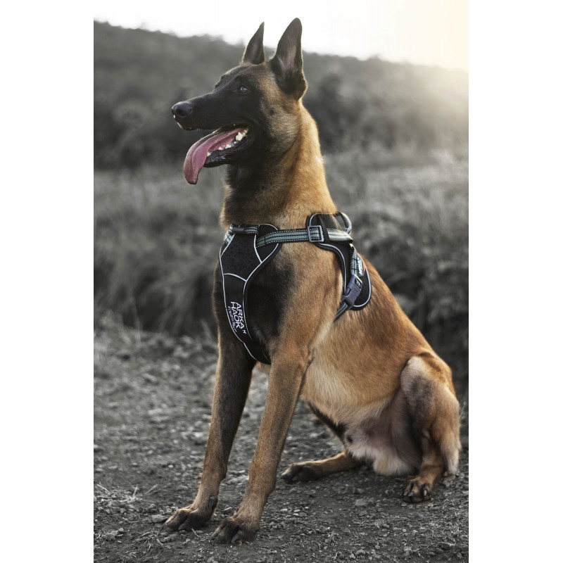 Harnais Arka Dog multisport Noir&Gris Martin Sellier pour chien Harnais Arka Dog multisport Noir&Gris Martin Sellier pour chien