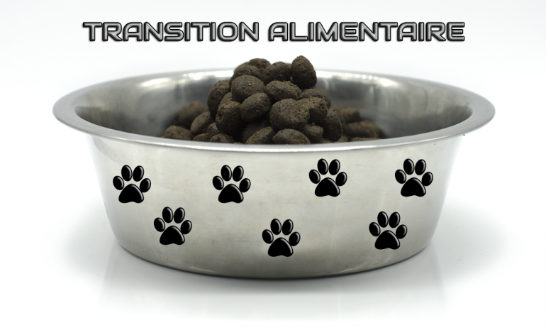 Transition alimentaire : Importante pour votre animal